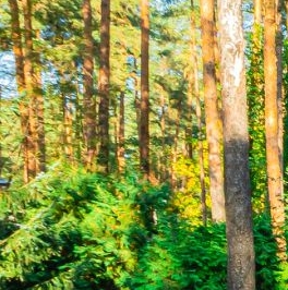 Продажа дома Всеволожск, Колтушское шоссе, 291