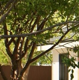 Продажа дома Порожки-Петровское кп,  д. 2