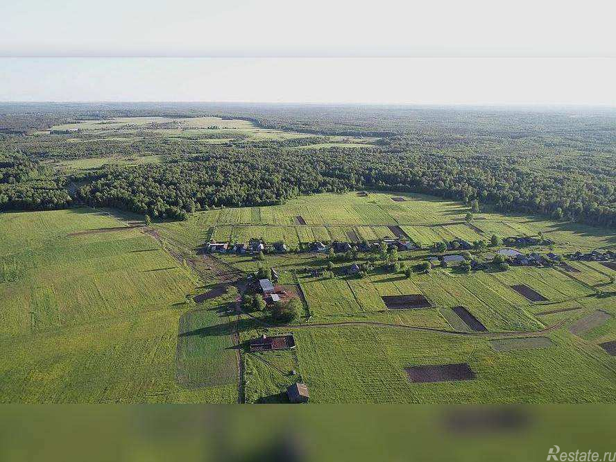 Продажа земли деревня Якшино, Лесная территория