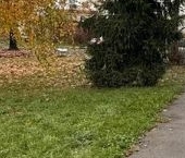 Продать Квартиры вторичка Обухово пгт, улица Ленина, 38   