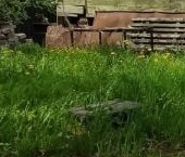 Продать Дачи, коттеджи, загородные дома 3-й кв-л, Надежда ВМА имени Кирова СНТ  20 