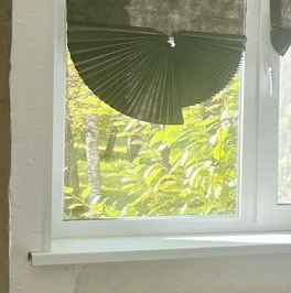 Продажа 1-комн квартиры на вторичном рынке Павловск, Пионерская улица, 13