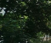 Продать Квартиры вторичка Видное, проспект Ленинского Комсомола, 25   