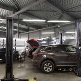 Аренда ПСН Шафировский проспект Аренда ПСН Шафировский проспект