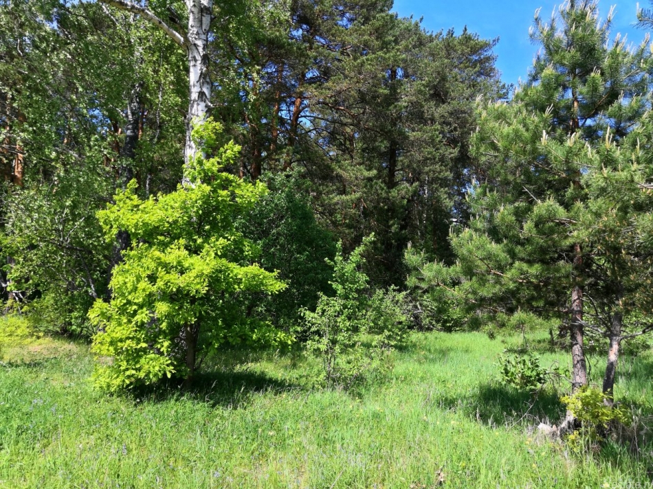 Продажа земли Райсемёновское, 46Н-11244