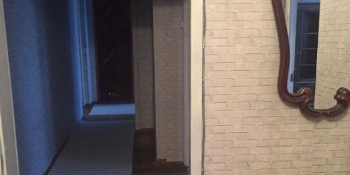 3-комн квартира Ириновский пр-кт,  д. 33/49