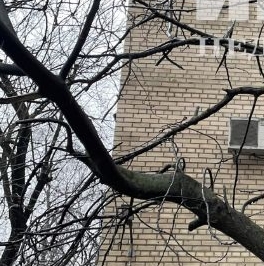 Продажа 1-комн квартиры на вторичном рынке Выборгская улица, 10