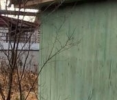 Продать Дачи, коттеджи, загородные дома Дивенская садоводческий массив, Дивное СНТ  174 