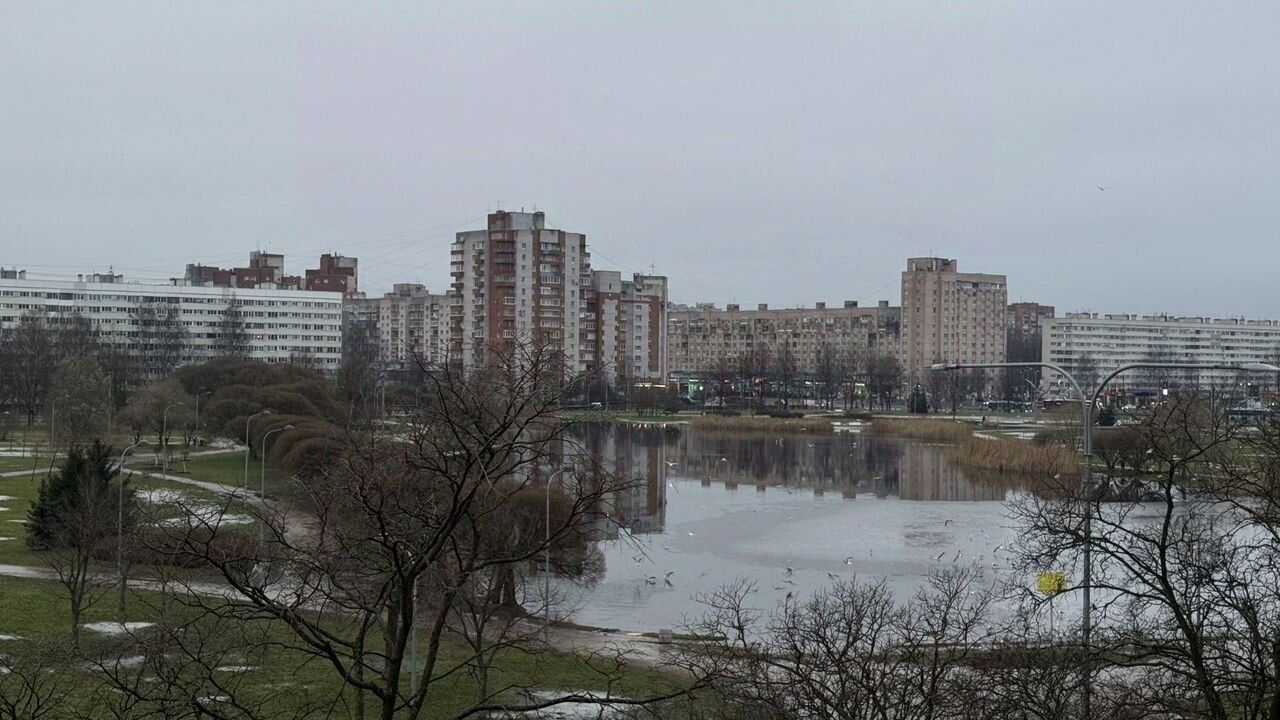 Продажа 3-комн квартиры на вторичном рынке улица Ольги Форш, 7К1