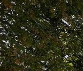 Продать Квартиры вторичка Мичуринский проспект, 56   