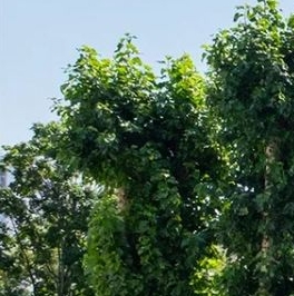 Продажа 4-комн квартиры на вторичном рынке Казарменный переулок, 8С1