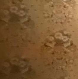 Продажа 2-комн квартиры на вторичном рынке Кастанаевская улица, 5 Продажа 2-комн квартиры на вторичном рынке Кастанаевская улица, 5