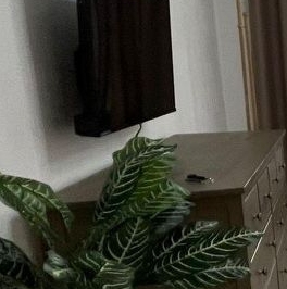 Аренда 1-комн квартиры на вторичном рынке улица Дмитрия Ульянова, 47