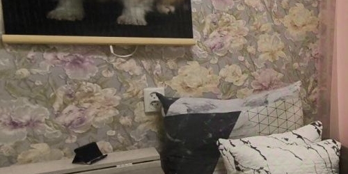 2-комн квартира Лужская улица, 16