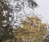 Продать Квартиры вторичка улица Бестужевых, 8А   