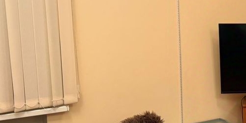 3-комн квартира Московский проспект, 173