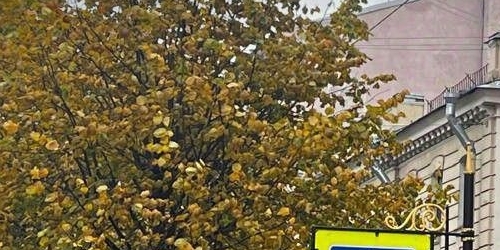 4-комн квартира Фурштатская улица, 19