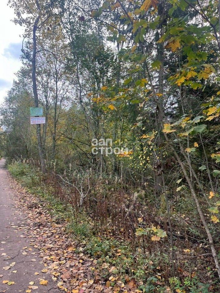 Продажа земли пос. Бойково, улица Полевая