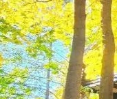 Продать Дачи, коттеджи, загородные дома Выборг, остров Двойник, 2А   