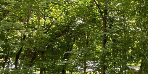 1-комн квартира Шипиловский проезд, 63К1