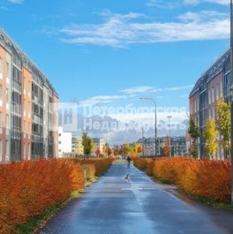 Продажа 1-комн квартиры на вторичном рынке Пулковское шоссе,  д. 71 к15