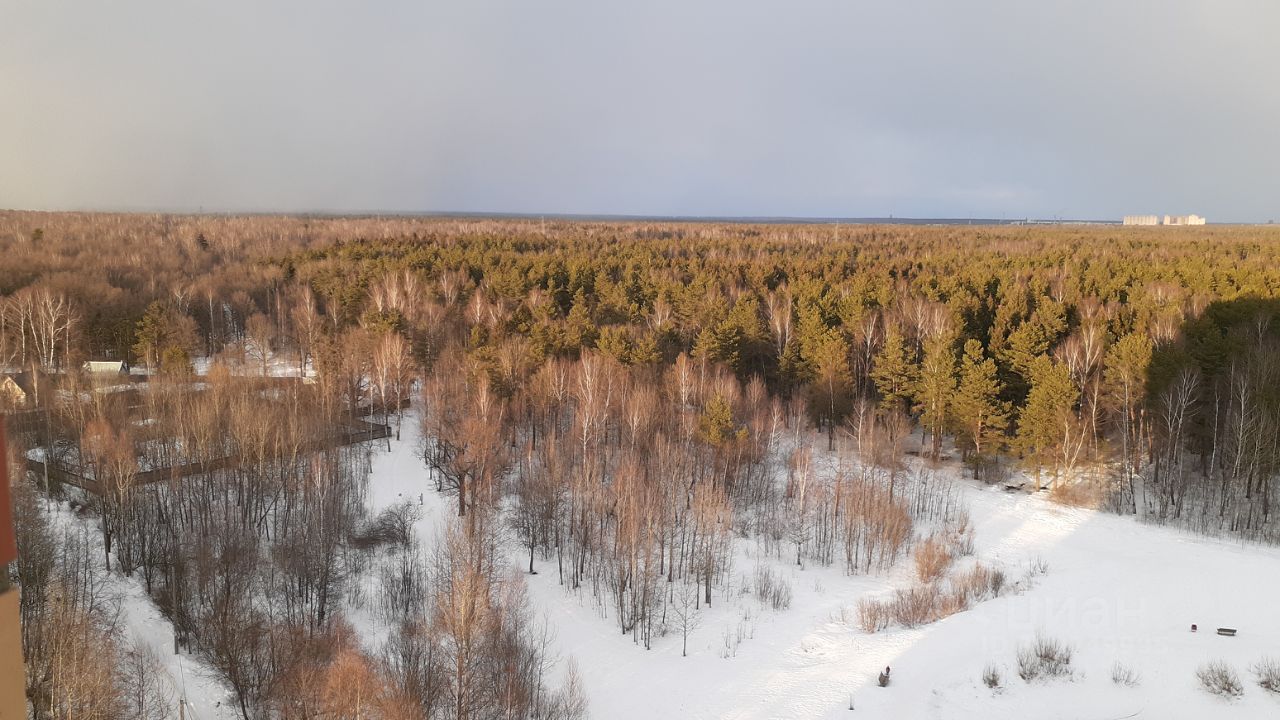 Продажа 1-комн квартиры на вторичном рынке Щелково, улица Неделина, 26