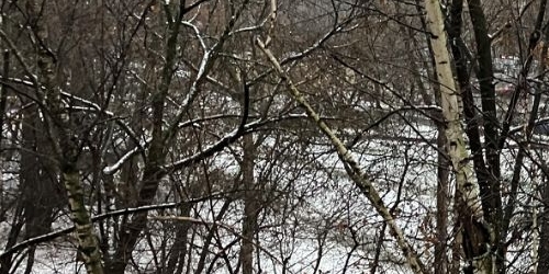 3-комн квартира улица Молостовых, 15К1