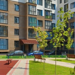 Продажа 1-комн квартиры на вторичном рынке Болтино д,  д. 9