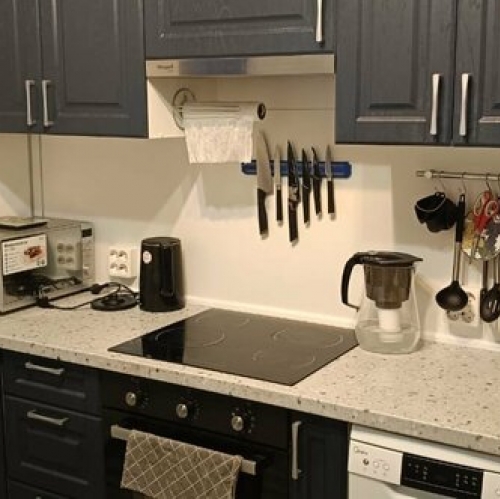 2-комн квартира Шушары п, Полоцкая (Славянка) ул