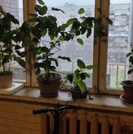 Продажа 2-комн квартиры на вторичном рынке Будапештская улица,  д. 15 к1