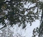 Продать Квартиры вторичка Ярцевская улица, 29К1   