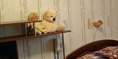 1-комн квартира Петергоф, дорога Бобыльская, 63