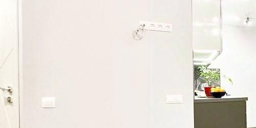 1-комн квартира Большеохтинский проспект, 15К1