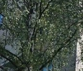 Продать Квартиры вторичка улица Тамбасова, 30К2   