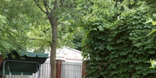 Коттедж/дом Парголовский пер ,  д. 16