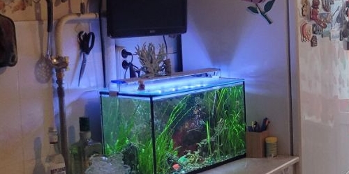 1-комн квартира Федеративный проспект, 26К4