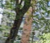 Продать Квартиры вторичка Подольск, улица 50 лет ВЛКСМ, 4   