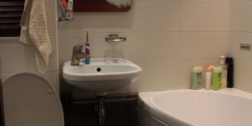 1-комн квартира Плетешковский пер ,  д. 17,  к. 1