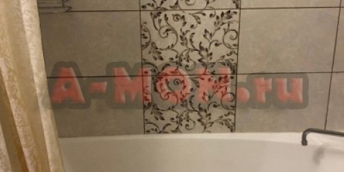 2-комн квартира Город Солнечногорск, Подмосковная, д. 9