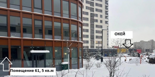 Помещение свободного назначения Заневский пр-кт,  д. 65