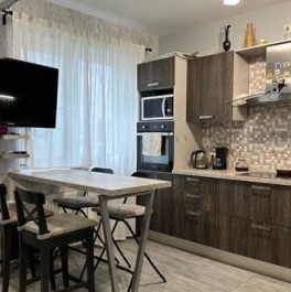 Продажа 1-комн квартиры на вторичном рынке Янино-1 д, Голландская ул,  д. 3,  к. 2