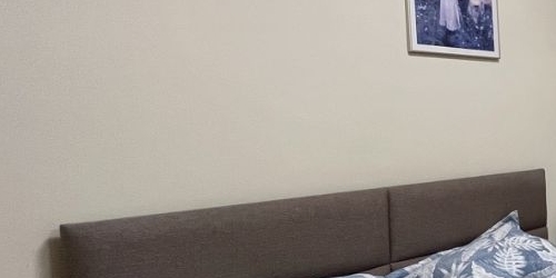 2-комн квартира Кутузовский проспект, 4/2