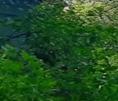 Продать Дачи, коттеджи, загородные дома Грибное садоводческий массив, Ленгидропроект СНТ, улица Бурейская, 145   