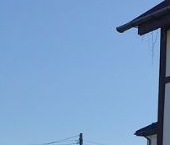 Продать Дачи, коттеджи, загородные дома Флора СНТ, 14-я линия   