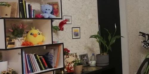 3-комн квартира улица Композиторов, 29К3