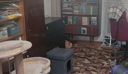 2-комн квартира Петрозаводская улица, 5К1