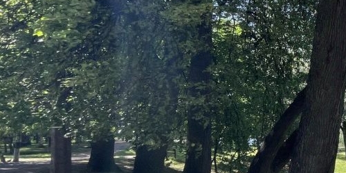 Коттедж/дом Парголовский переулок, 20