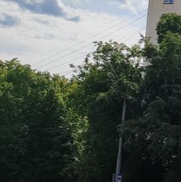 Продажа 1-комн квартиры на вторичном рынке Бутырская улица, 93 Продажа 1-комн квартиры на вторичном рынке Бутырская улица, 93