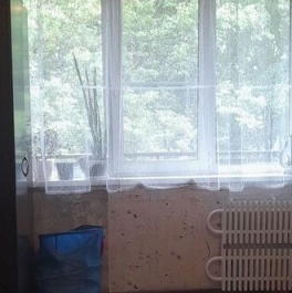 Продажа 1-комн квартиры на вторичном рынке Клишева, Центральная улица,  д. 11