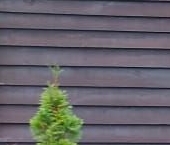 Продать Дачи, коттеджи, загородные дома Модуль мкр, Сертолово, Цветочная улица, 12   